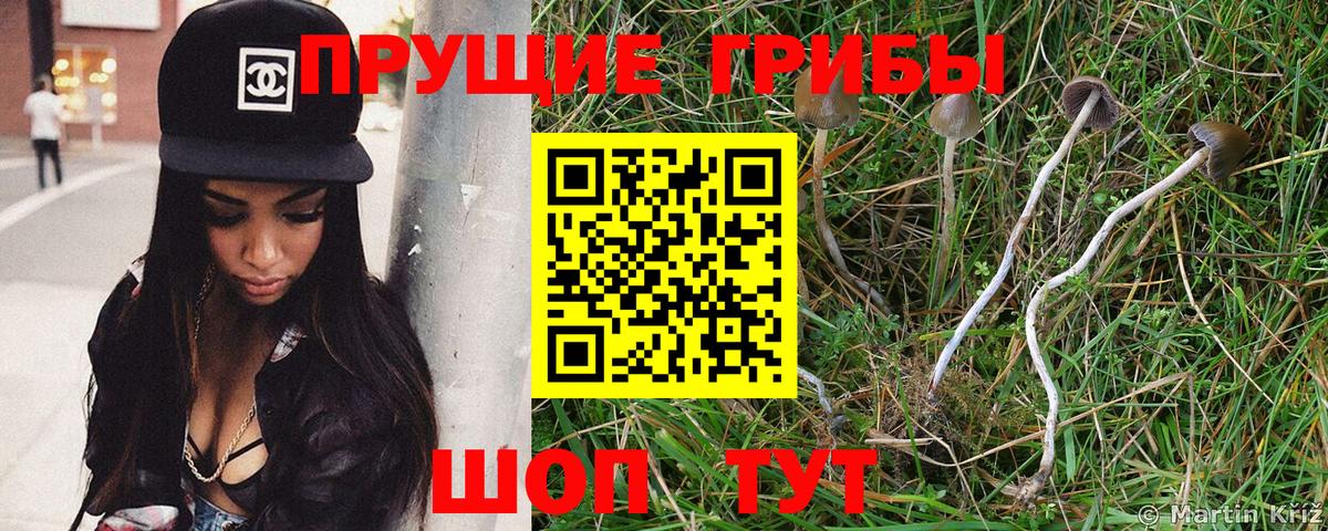 Галлюциногенные грибы прущие грибы Дубна